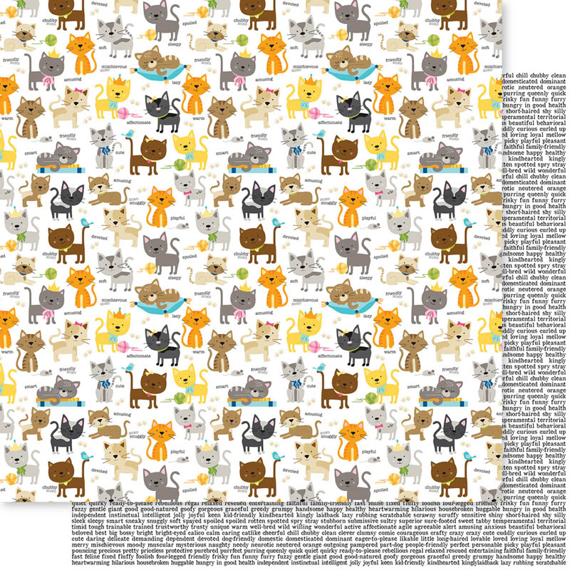 Cat Crazy Double-Sided Cardstock (25 pc)